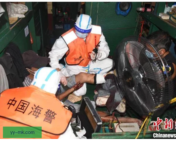 上海海港伤员回归节奏，逐步复出避免二次伤病风险